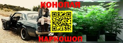 мяу мяу мука Коммунар