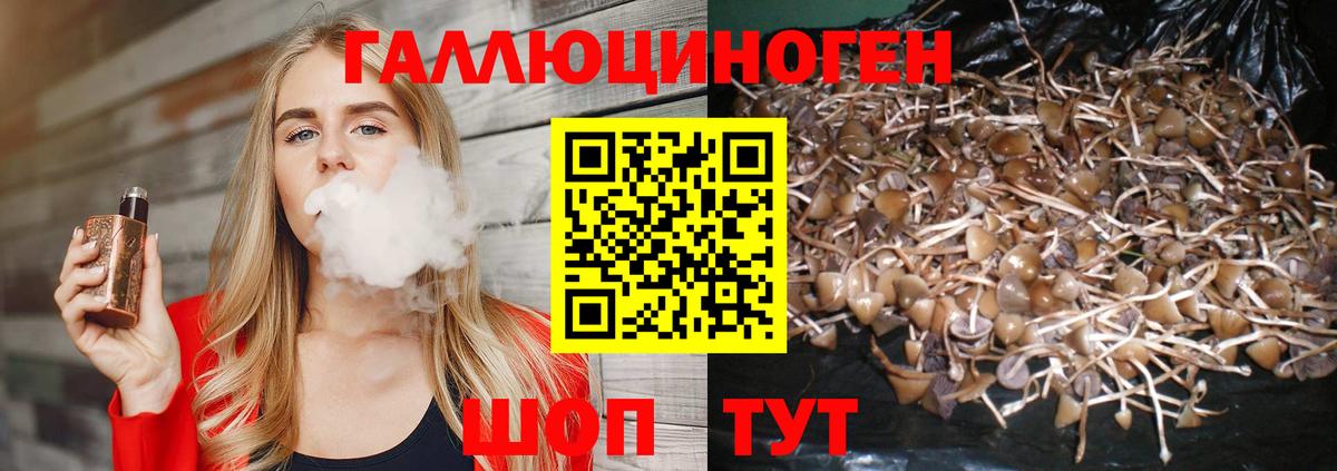 Псилоцибиновые грибы прущие грибы  Вход с VPN  продажа наркотиков  Котлас 